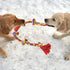 A Canine Competition: The Joy of Tug of War with BLINCOO's Large Dog Rope Toy