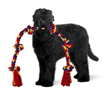 Black shaggy dog holding a BLINCOO rope