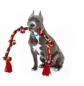 Gray dog pictured with a BLINCOO rope