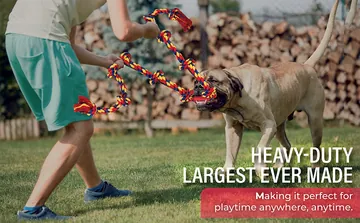 BLINCOO original product graphic showing a person and dog playing tug in a yard