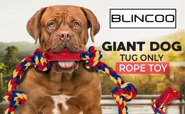 BLINCOO original promotional image with a brown dog