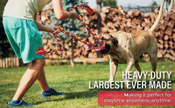 BLINCOO promotional image of a person and dog playing tug