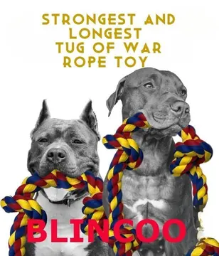 BLINCOO original promotional image of two gray dogs
