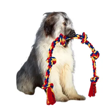 Shaggy dog pictured with a BLINCOO rope