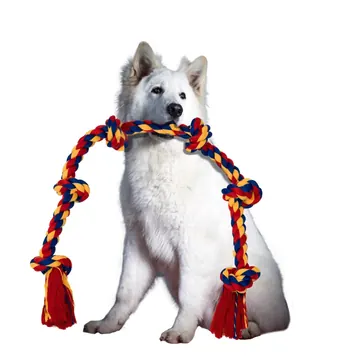 White shepherd pictured with the BLINCOO rope