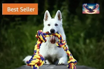 White shepherd with the BLINCOO rope, original promotional image